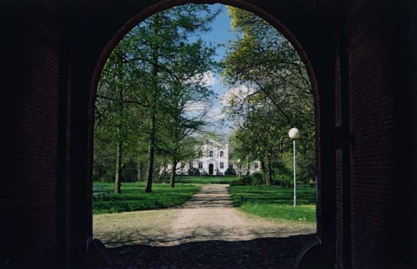 Blick in den Park